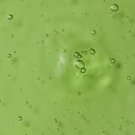 [GIFT] Super Cica Ampoule